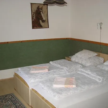 Benko Vendeghaz * Kiskutas